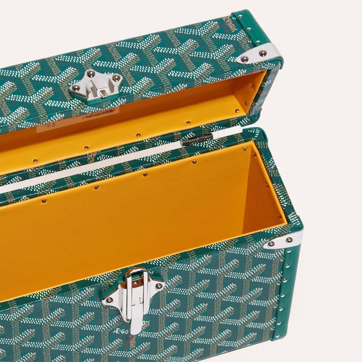 Goyard Cassette Trunk Bag Green - Image 5